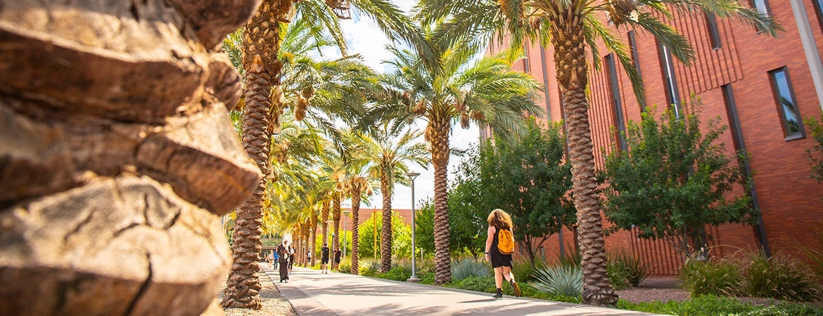 Students walking in campus